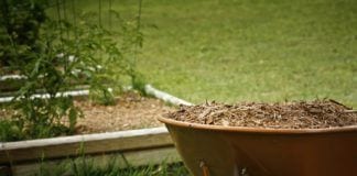 Four Easy Steps for Creating a Compost Pile Compost