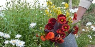 Expert Tips for Creating Beautiful Spring Bouquets Spring Bouquets