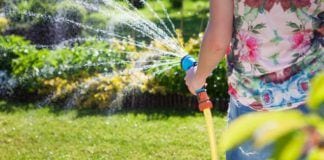 10 Easy Ways to Conserve Water in Your Garden Conserve Water