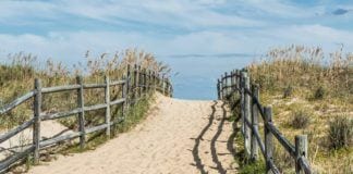 Summer at the Shore: The Series Summer at the Shore