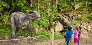 Take Your TV-Loving Kids to These Fun Spots Take Your TV-Loving Kids to These Fun Spots