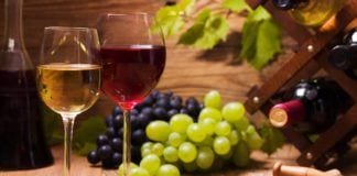 Vintage Report: What’s Next for NJ Wine Vintage Report: What's Next for NJ Wine
