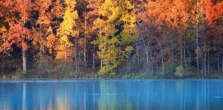 General Fall Content: Food, Fun & Foliage in New Jersey