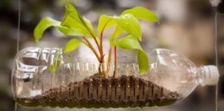 Earth Day Tips for Reducing Household Plastic Waste Reducing Household Plastic Waste for Earth Day