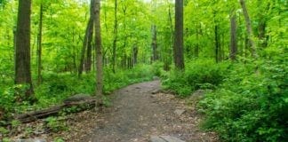 The Best Hiking Spots in New Jersey for Every Season Best Hiking Spots in New Jersey