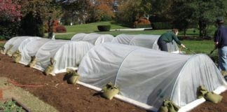 The Best Tips for Building a Hoop House Before Winter hoop house