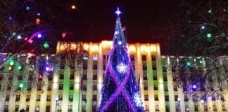 The Best Holiday Tree Lighting Events in New Jersey holiday tree lighting, tree lighting