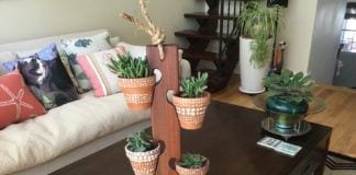 Indoor Gardening Tips For Winter Home Decor Indoor Gardening Tips for Winter Home Decor