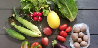 The Best CSA & Farm Delivery Services in New Jersey Abma's Farm Best CSA Farm Delivery Services